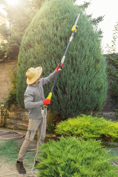 Best Storm Damage Tree Cleanup  in Omak, WA